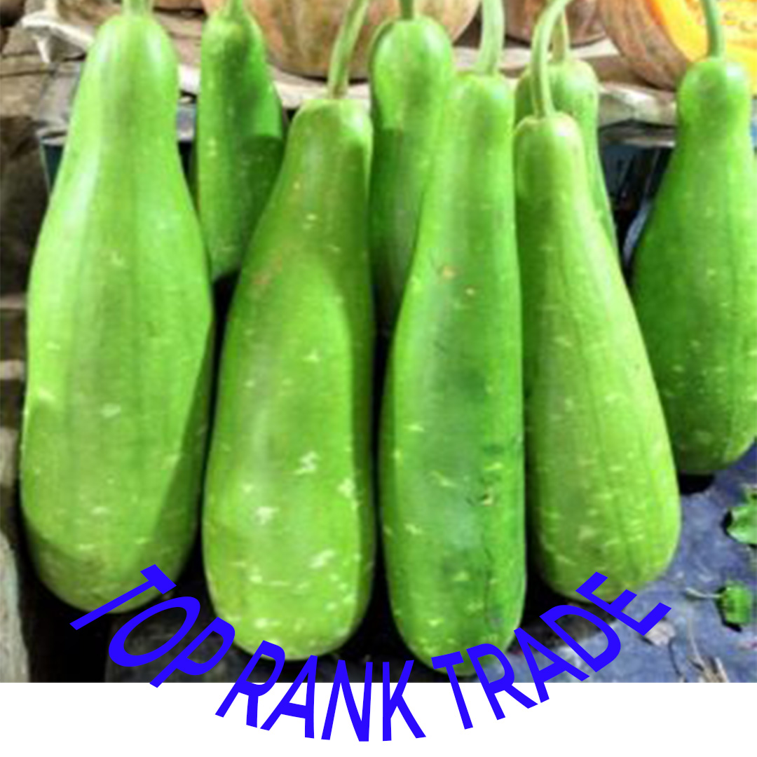 Bottle Gourd